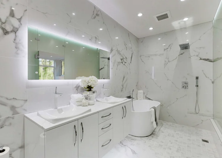 Gray Walls Pale Gray Elegance