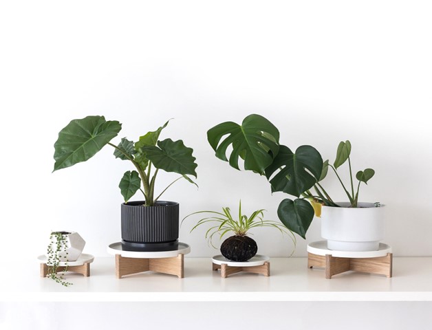 Minimalist Plant Stand