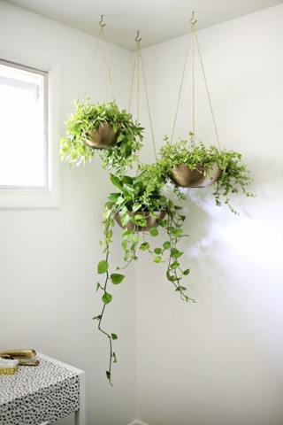 Make Your Hanging Planters