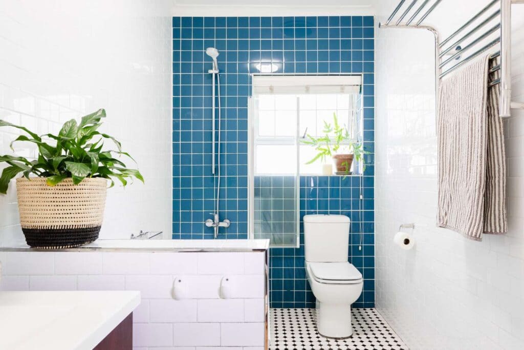 plant pots and blue color wall tiles in a bathroom