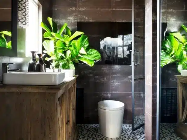 plants on vanity with sink in bathroom