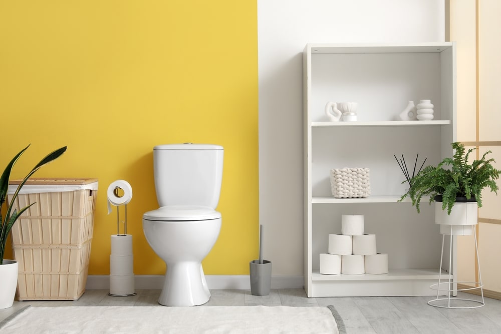 Interior Of Restroom With Toilet Bowl Bin Plant And Shelving