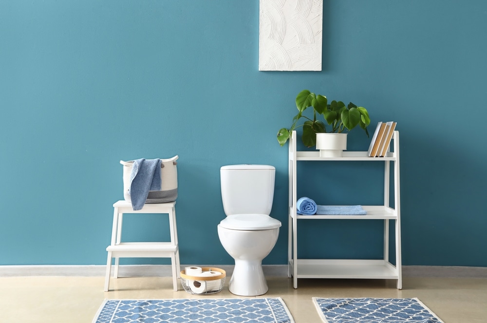 Interior Of Modern Restroom With Ceramic Toilet Bowl And Shelving