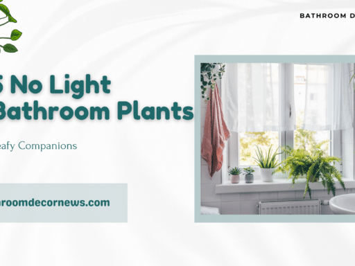 No Light Bathroom Plants