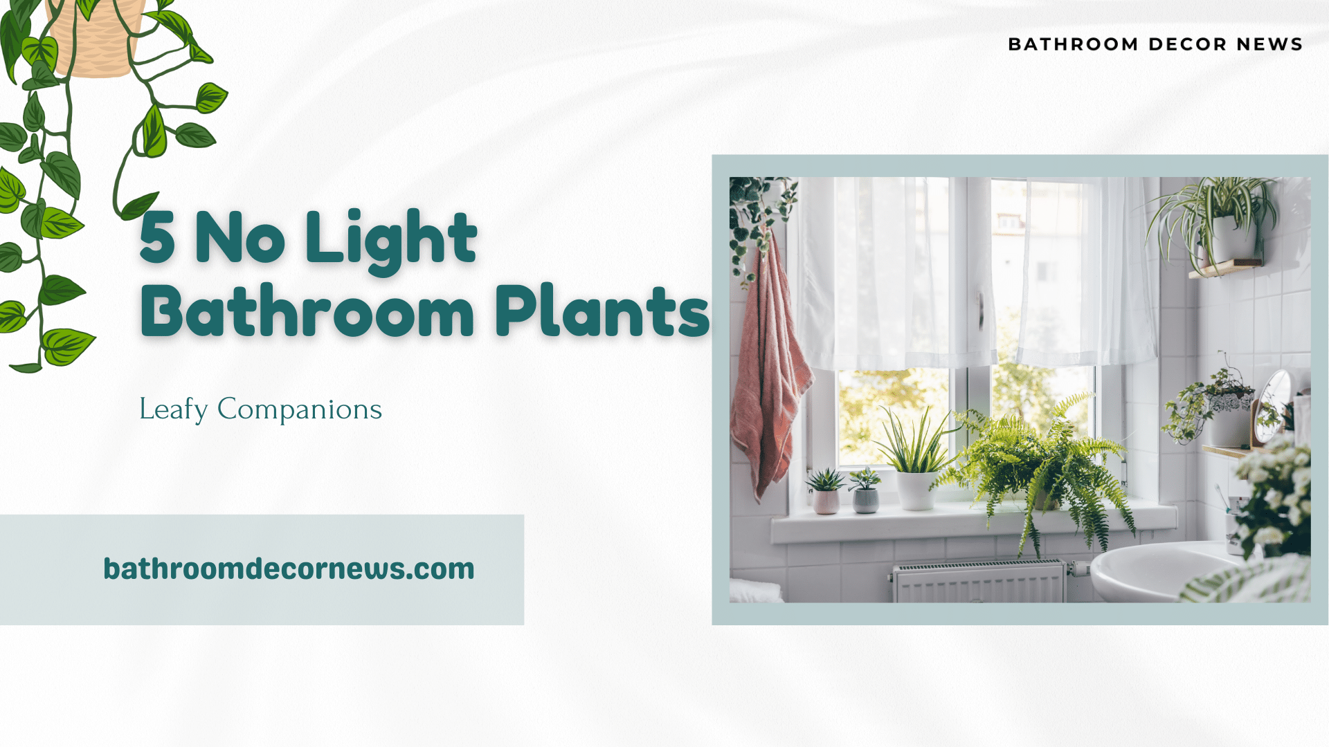 No Light Bathroom Plants