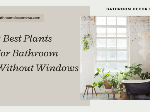 Best Plants for Bathroom Without Windows Definite Guide