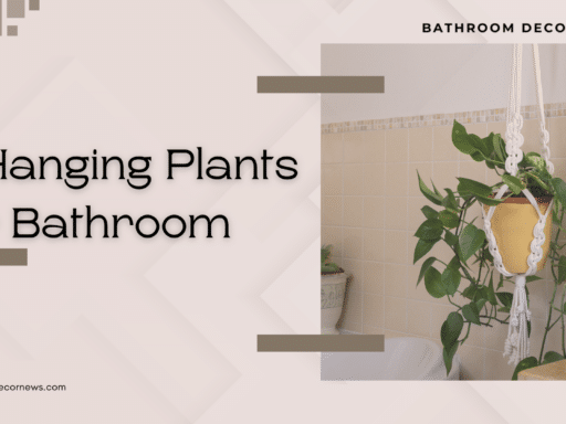 Hanging Plants for Bathroom for a lively space in bathroom