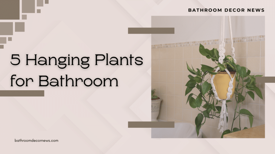 Hanging Plants for Bathroom for a lively space in bathroom