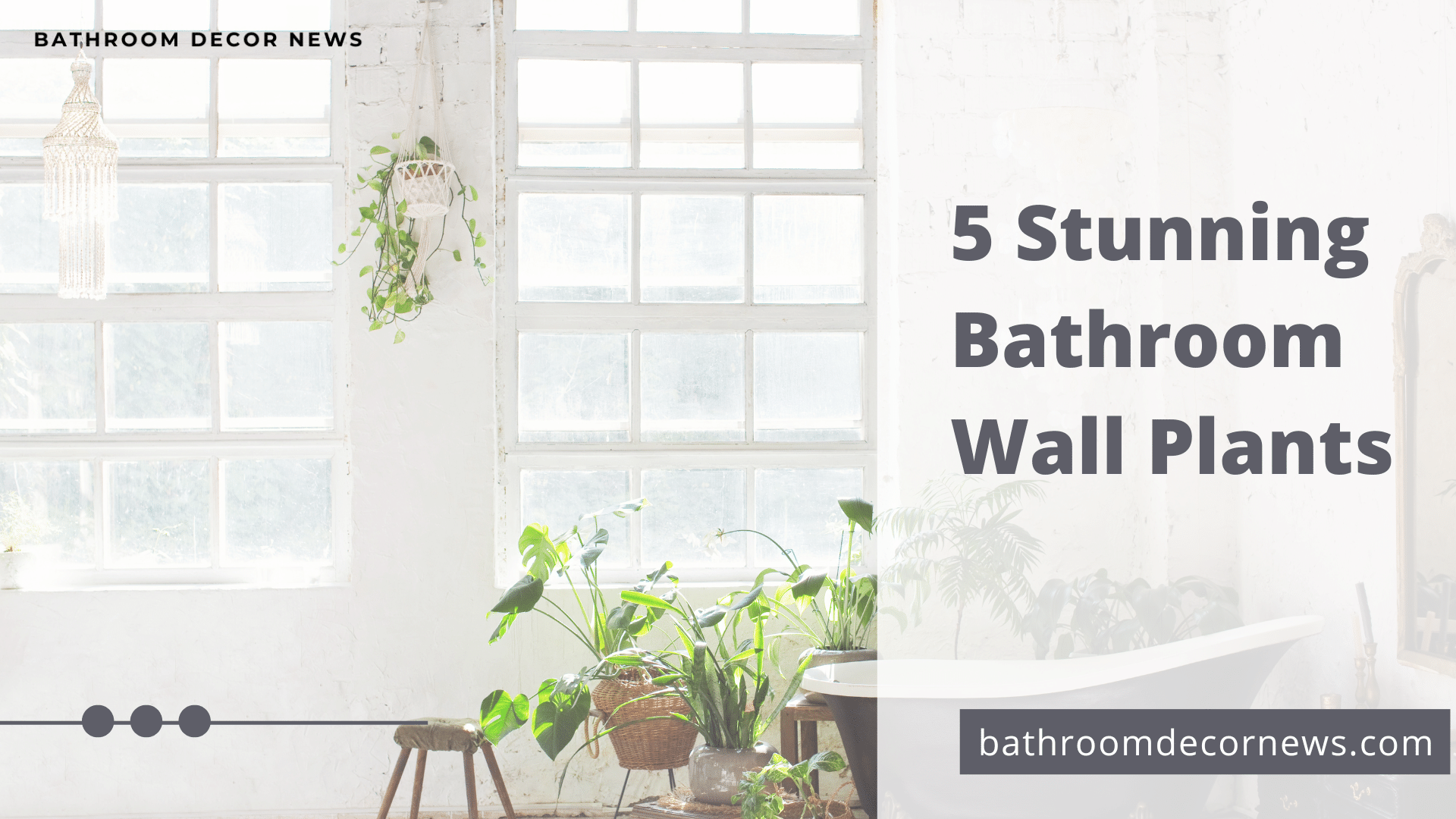 Stunning Bathroom Wall Plants