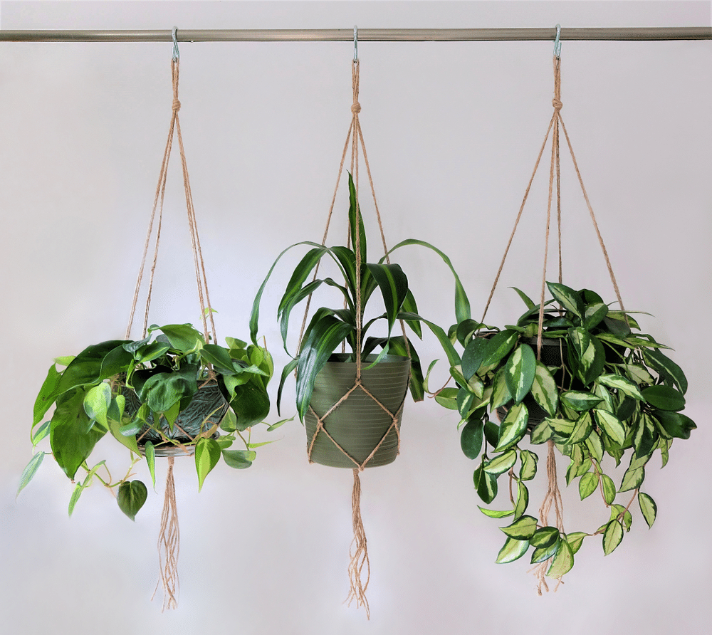 Three jute twine macrame plant hangers hanging from a metal pole